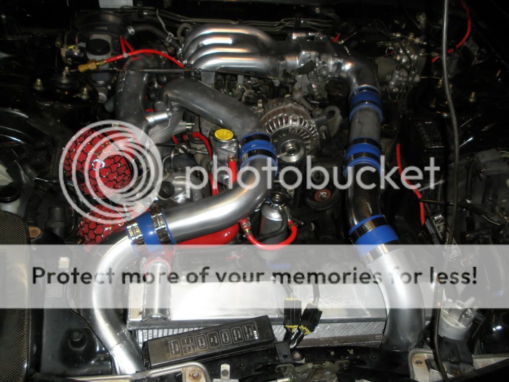 DSCN2604.jpg