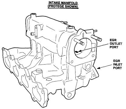 EGR_Location.gif