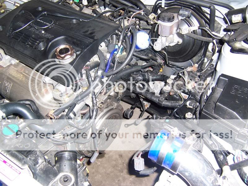 100_1109.jpg