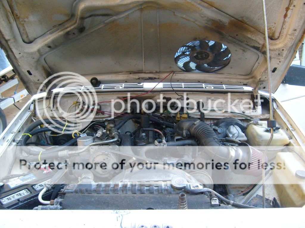 S6300362.jpg