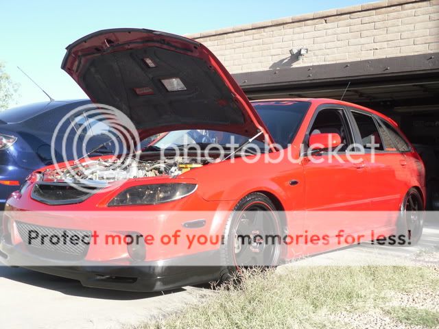 SDC10687.jpg