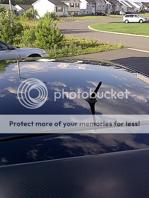 IMG-20110723-00076.jpg