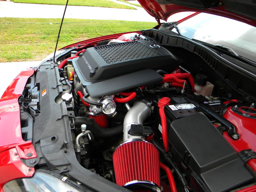DSCN2105.jpg