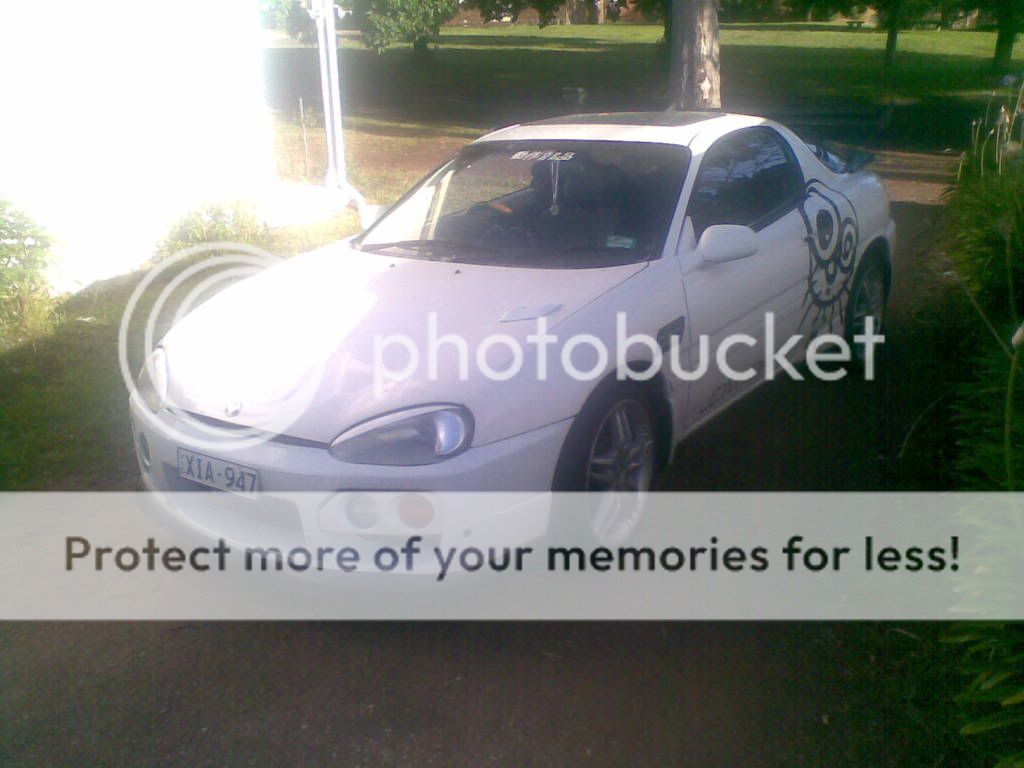 23122010003.jpg