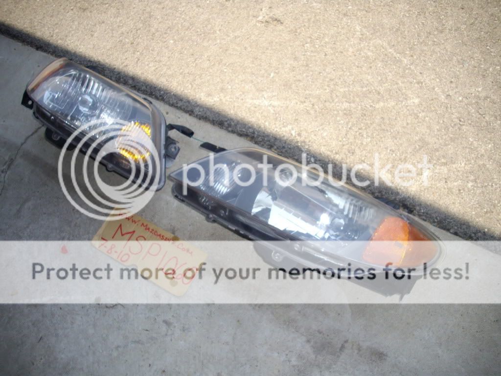 IMGP7126.jpg