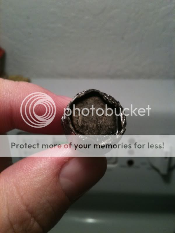 photo3.jpg