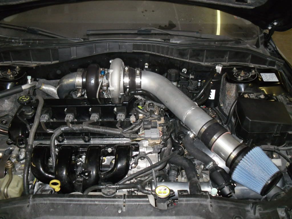SDC10190.jpg