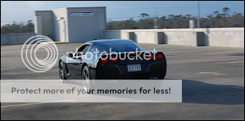 toaninthevette2.jpg