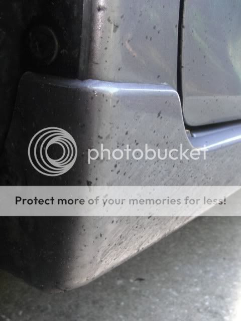 Picture498-2.jpg