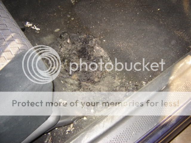 CARDAMAGE001.jpg
