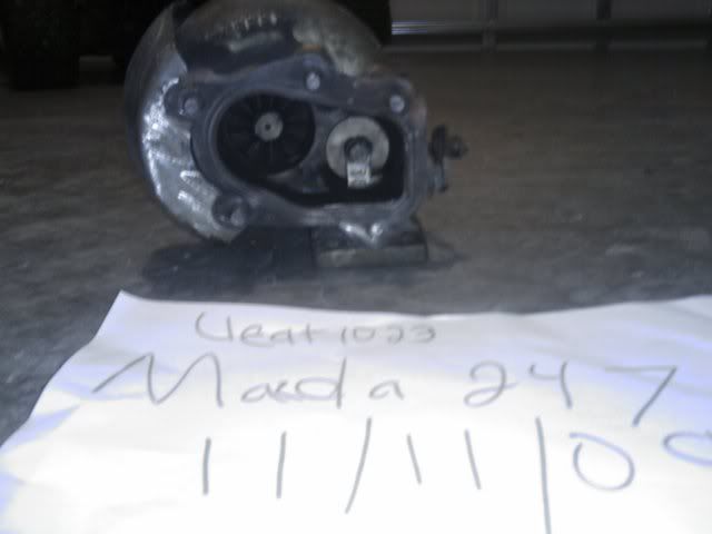 IMAG0050.jpg