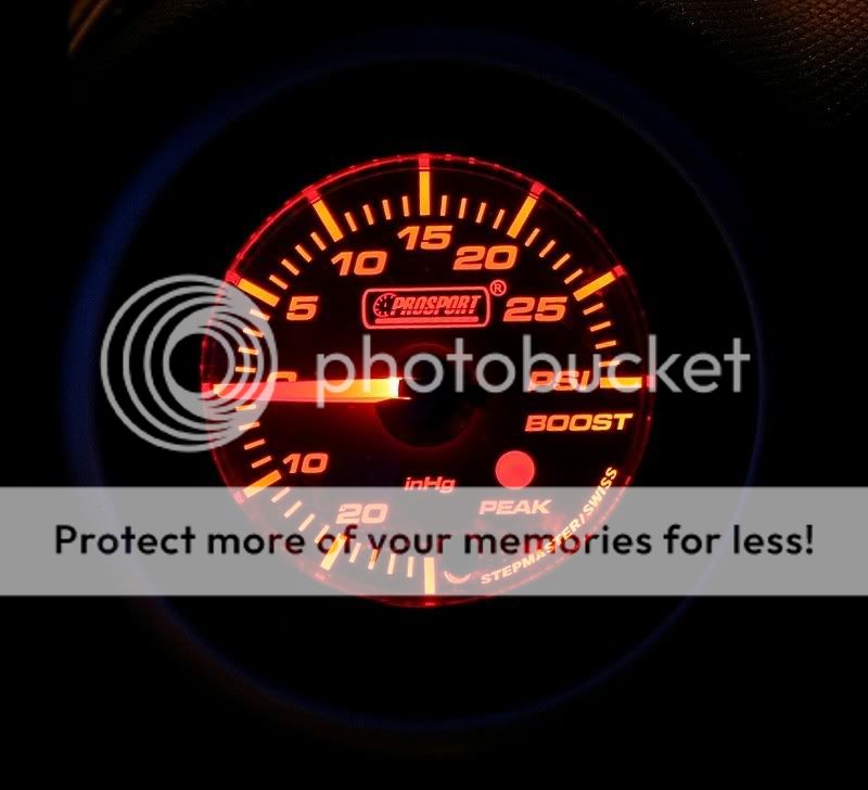 IMG_0100.jpg