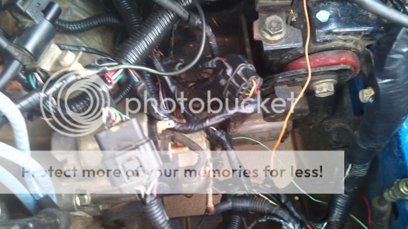 2012-03-28145526.jpg