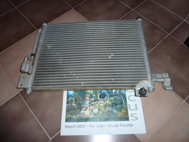 P1010209.JPG