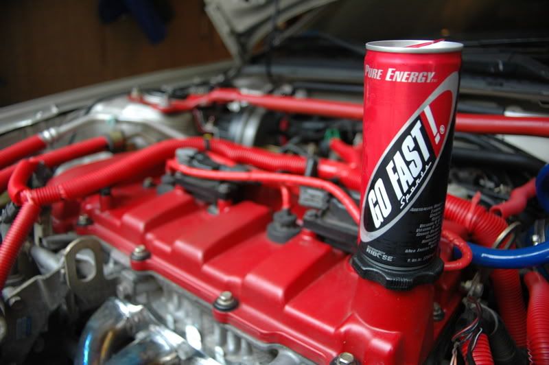 DSC_7505.jpg