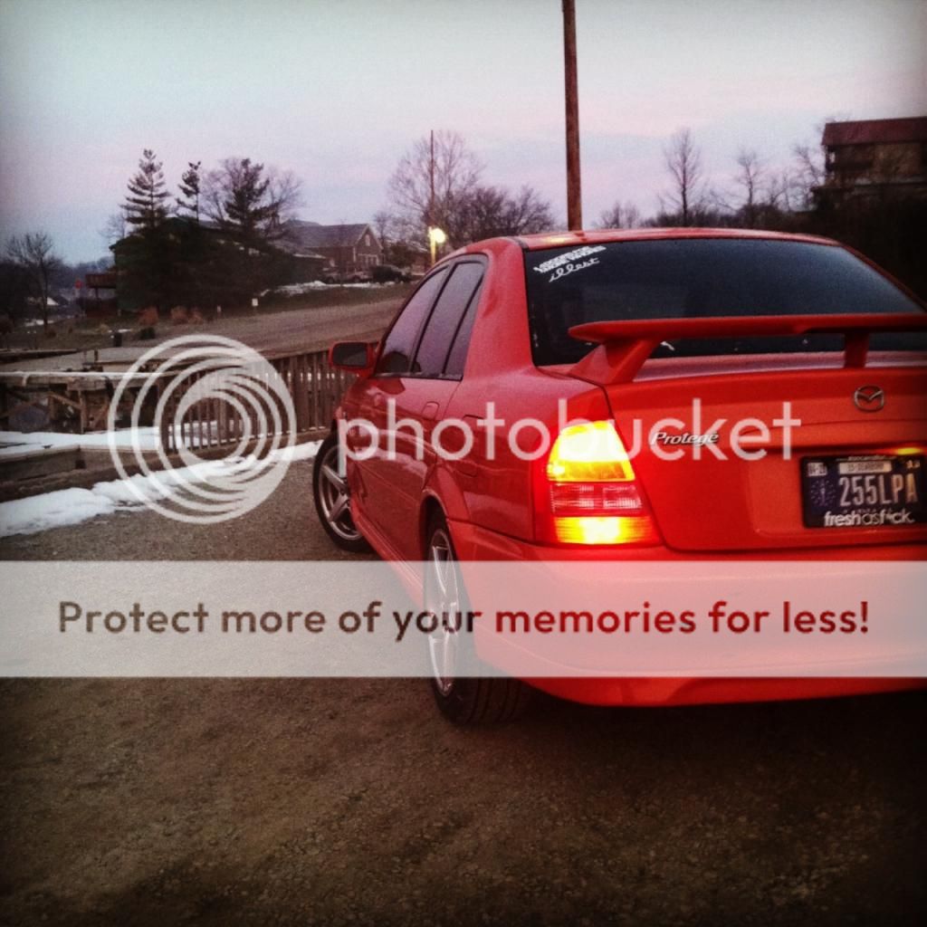 IMG_2236_zps0e71d1d5.jpg