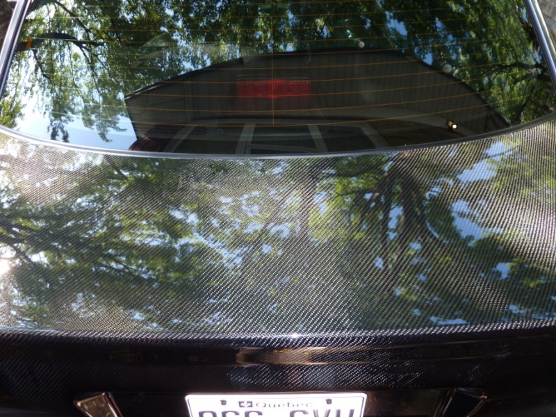P1000007.jpg