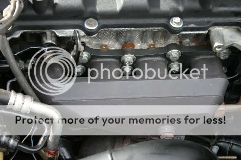 Spicypics008.jpg