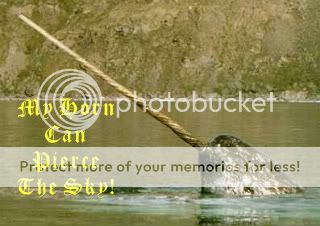Narwhal.jpg