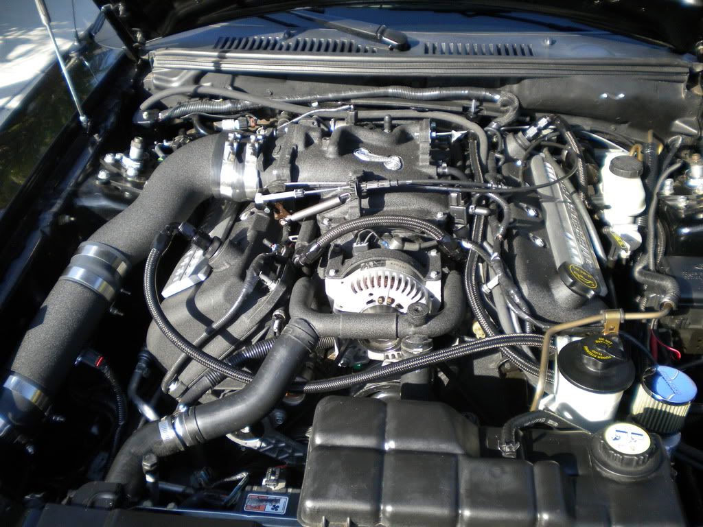 DSCN0607.jpg