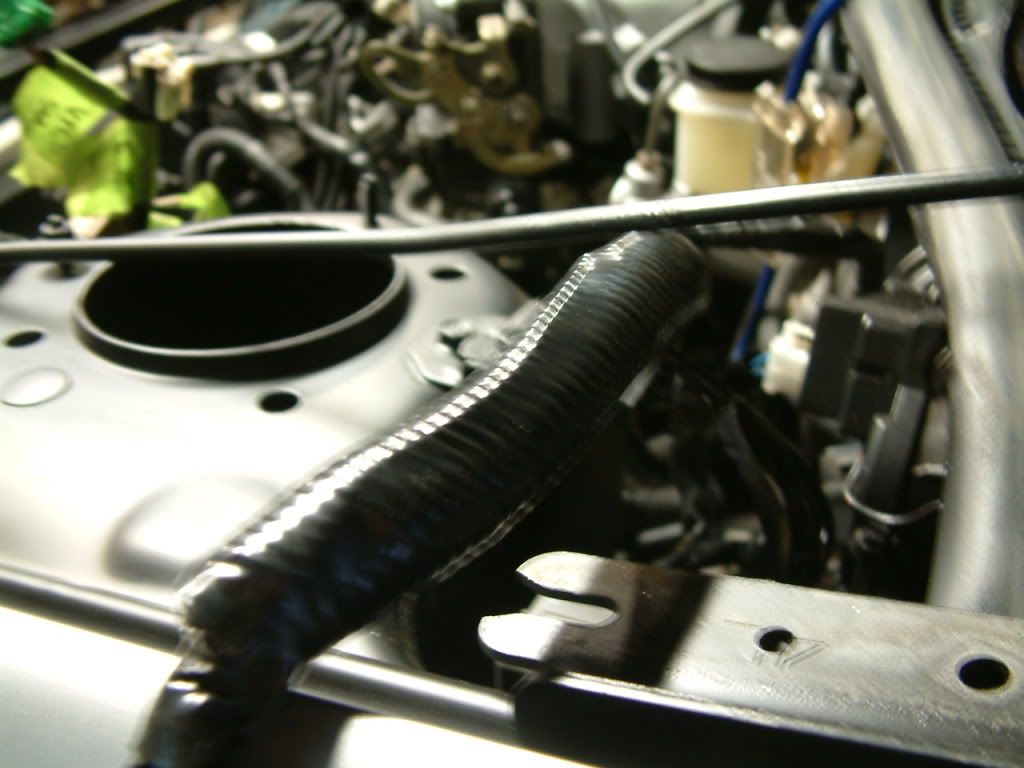 DSCF0009.jpg