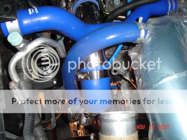 DSC02097.jpg