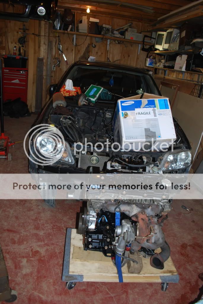 Picture178.jpg