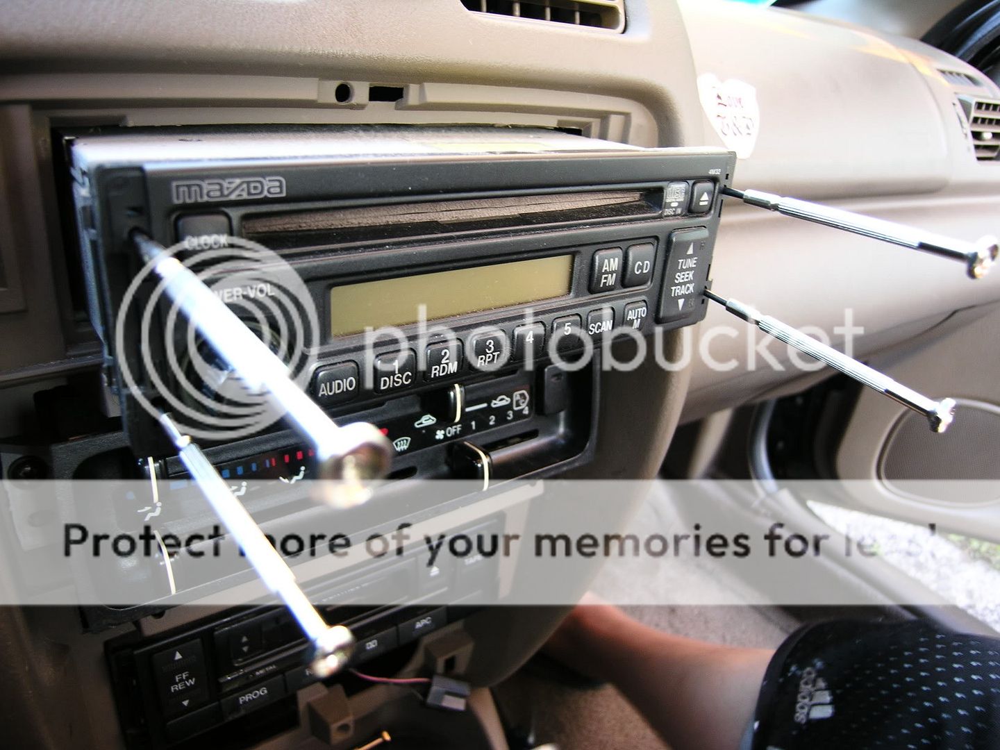 DSCN0201.jpg