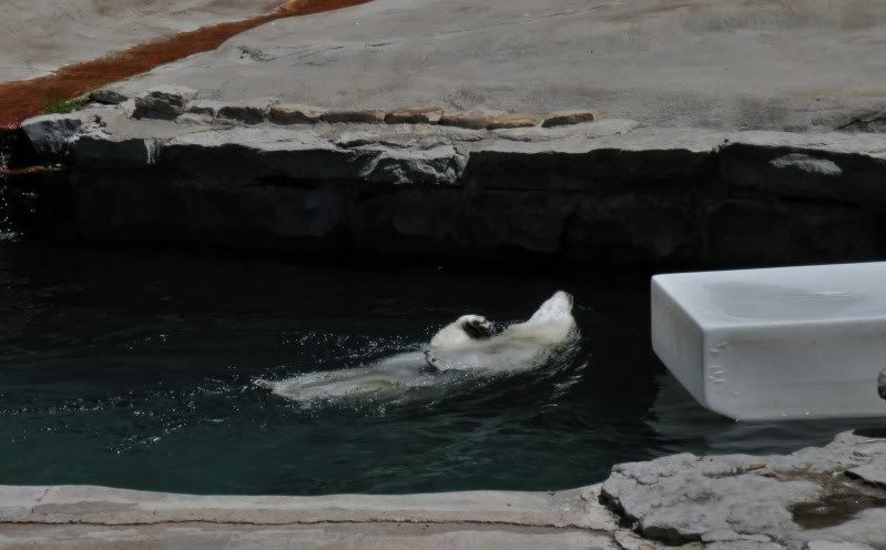 zooeditied057.jpg