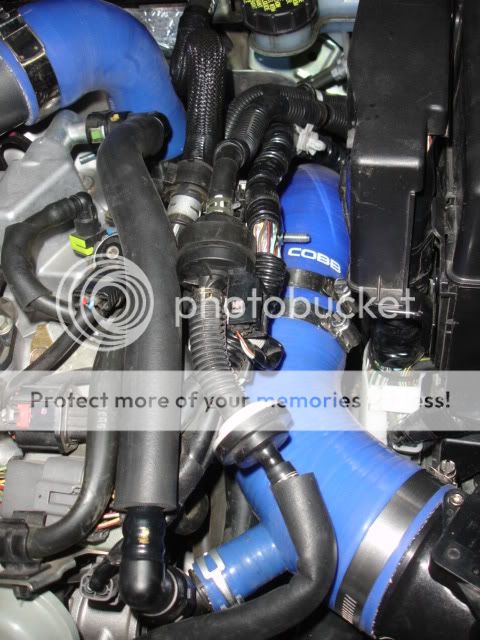 DSC06990.jpg