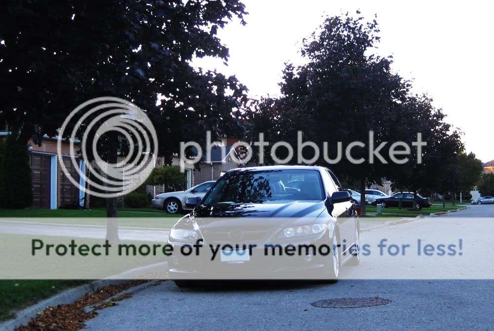 IMG_8561COPY.jpg