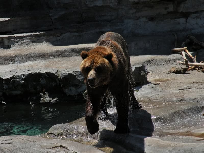 zooeditied043.jpg