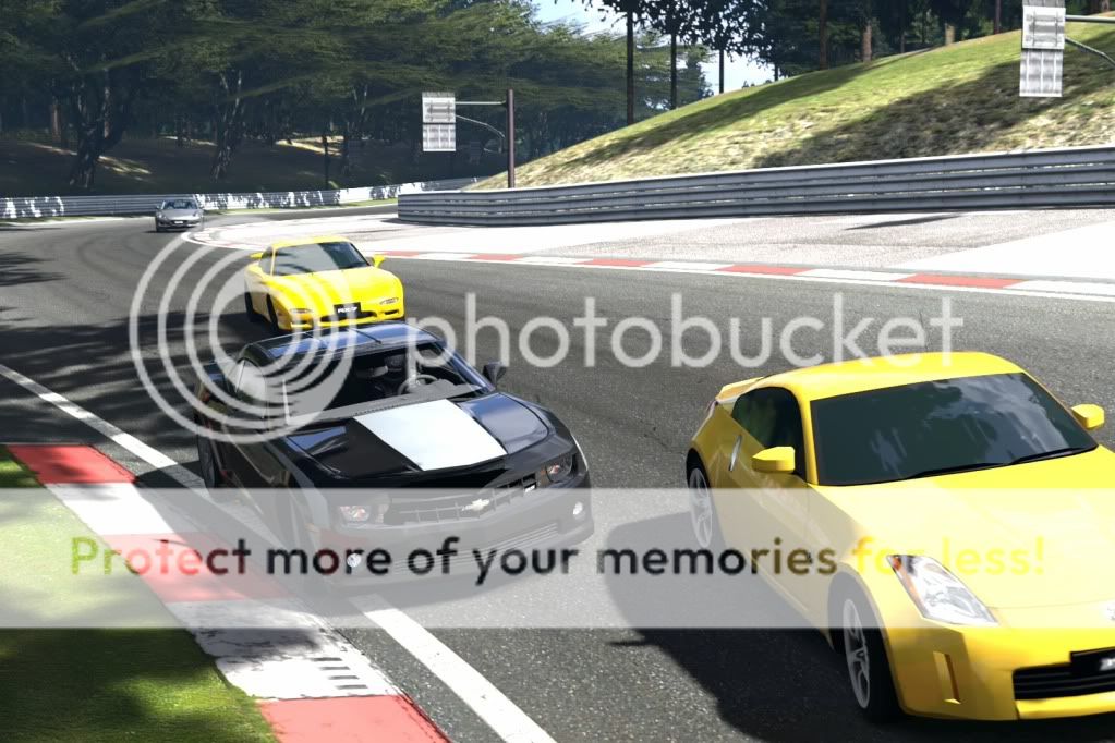 DeepForestRaceway-1.jpg
