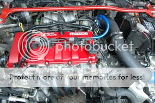 DSC_5107.jpg