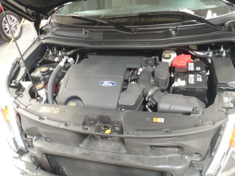 P4304490.jpg