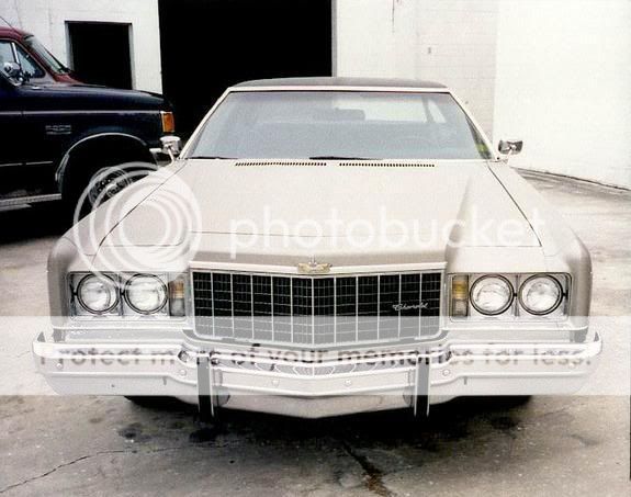 Caprice-nose.jpg