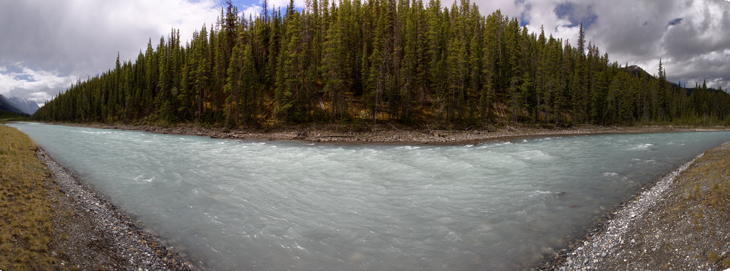 3688856777_4f57ff1631_b.jpg