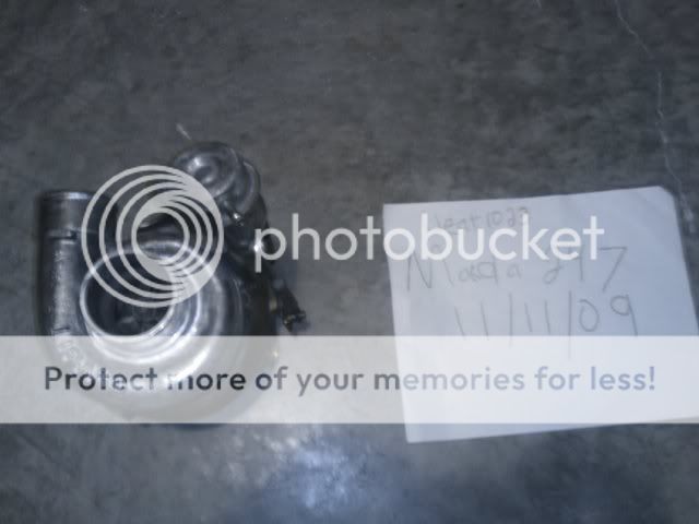 IMAG0049.jpg