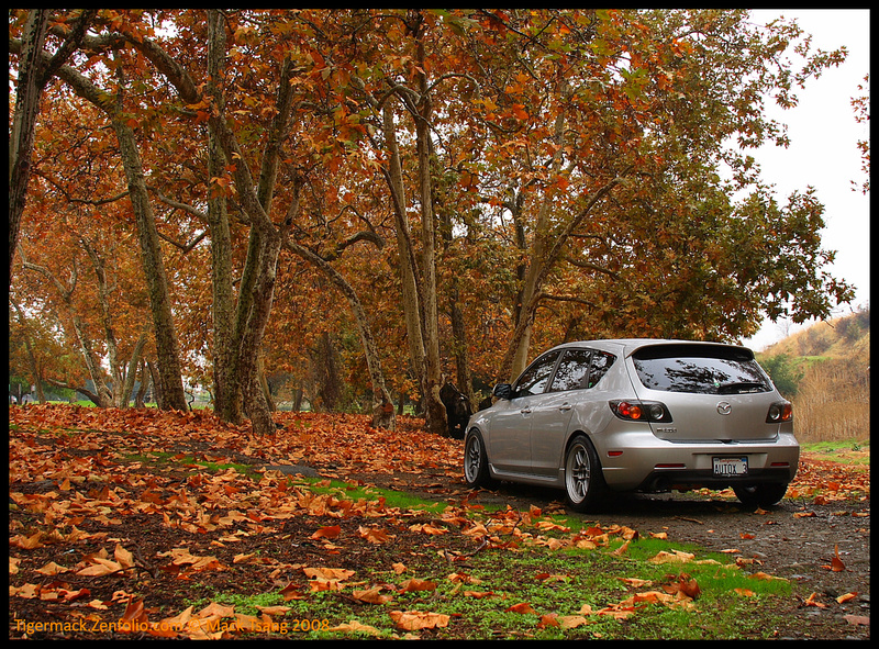 p408721657-4.jpg