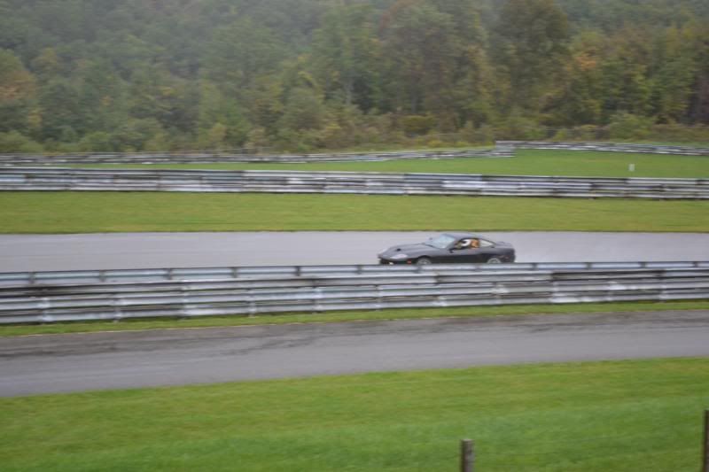 DSC_0204.jpg