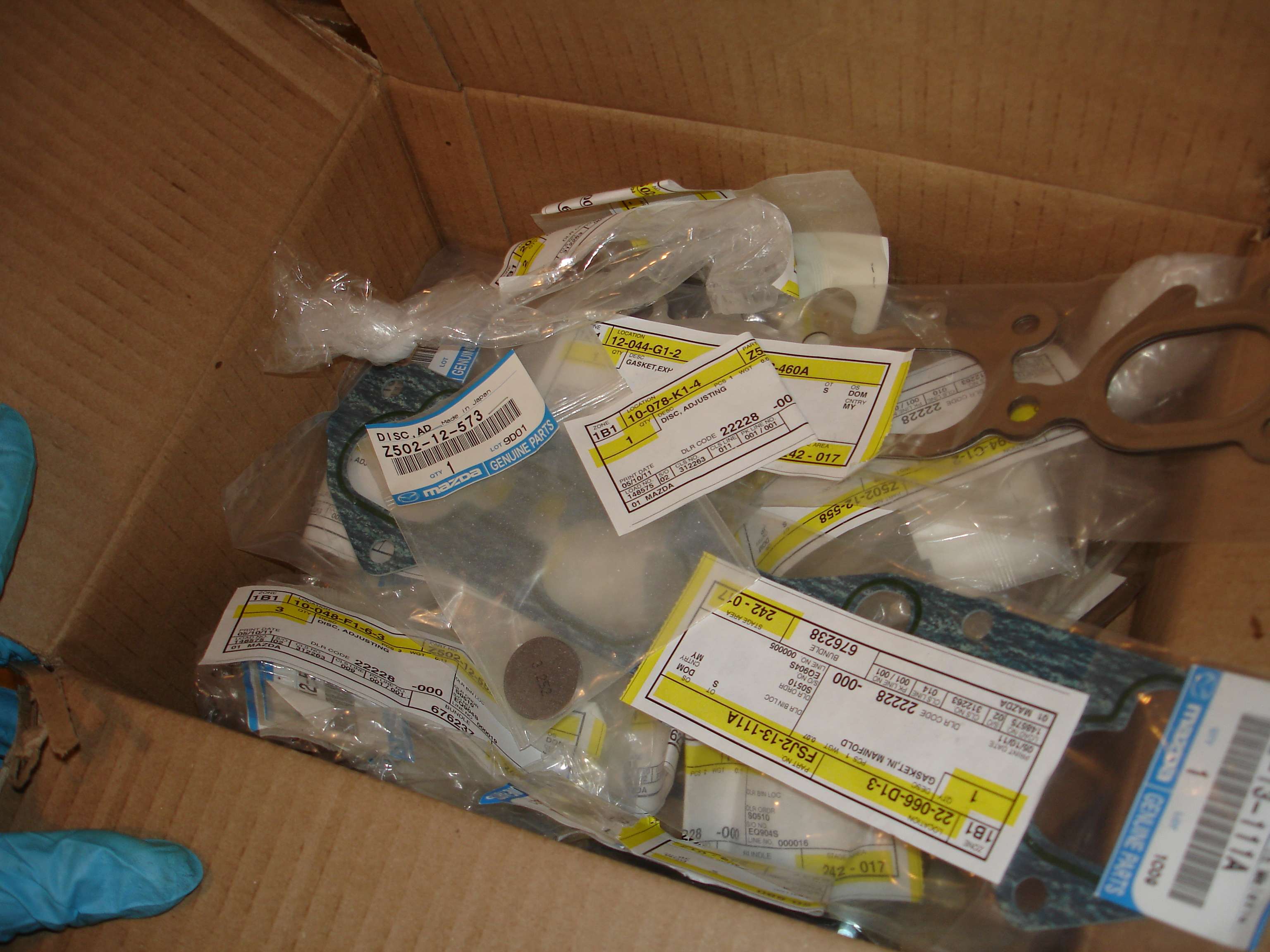dsc06180p.jpg