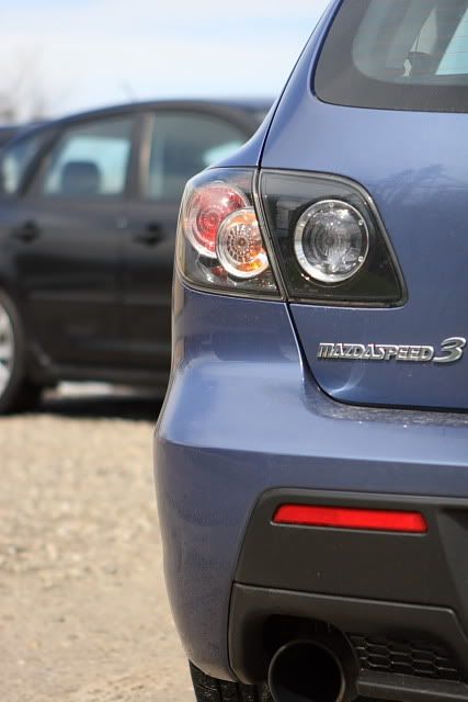 MiniMeet-008.jpg