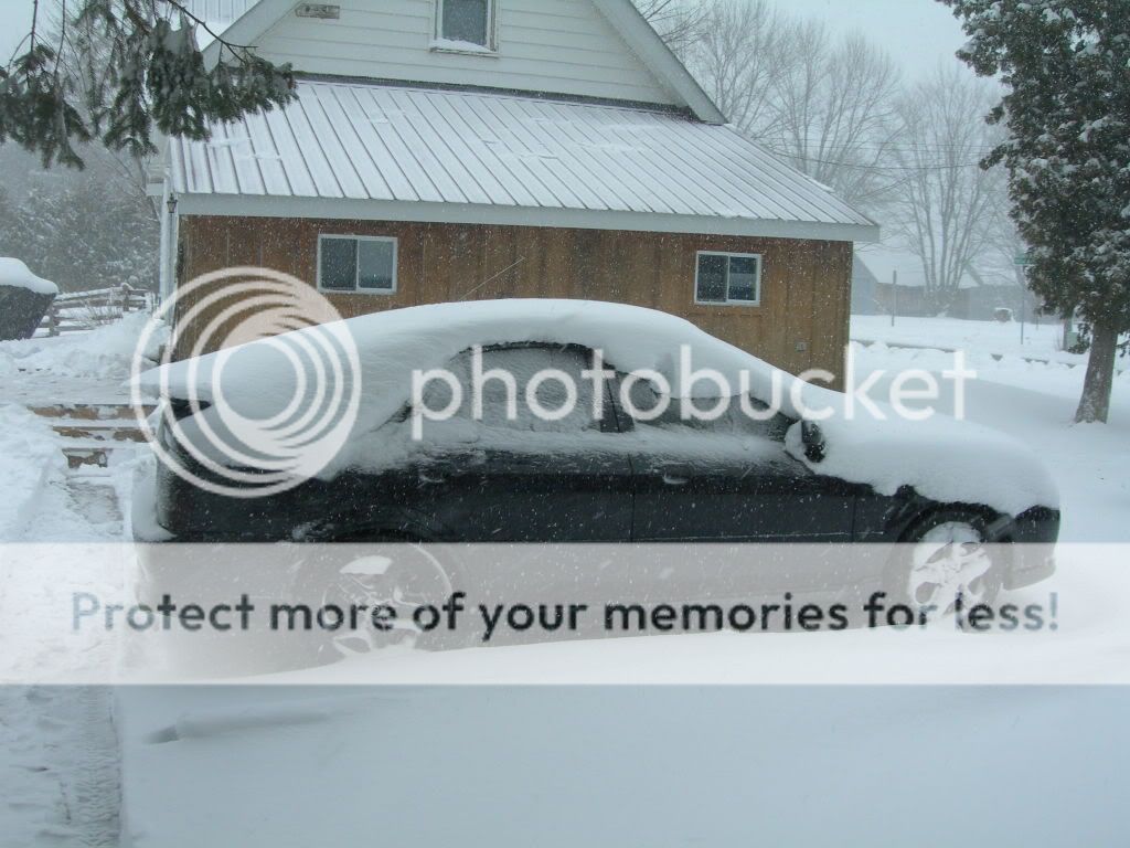 DSCN4097-1.jpg