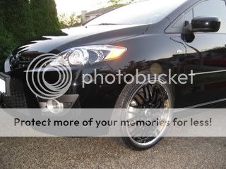 IMG_0894_1.jpg