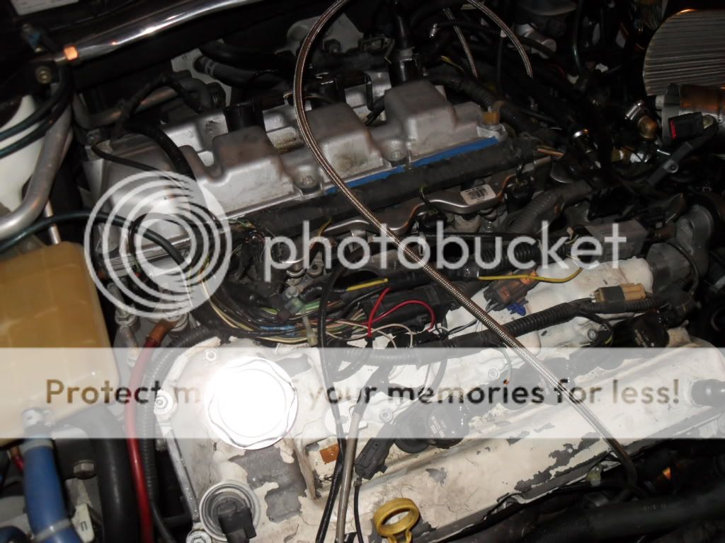 SDC10112.jpg
