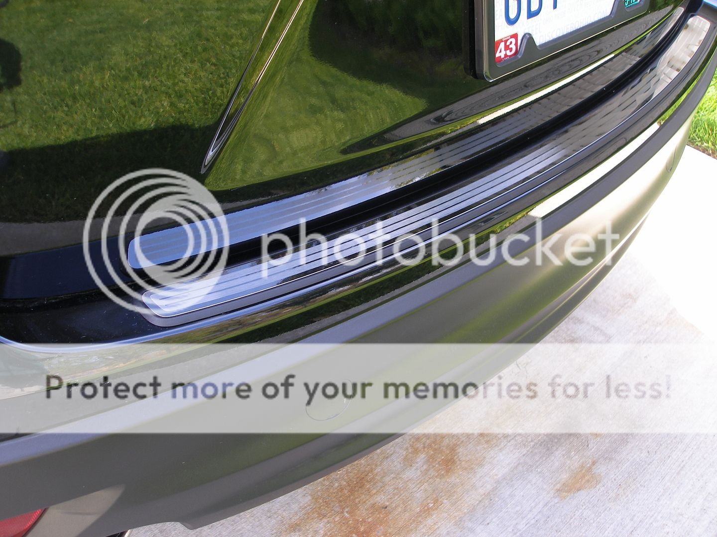 Bumper%20Protector.jpg