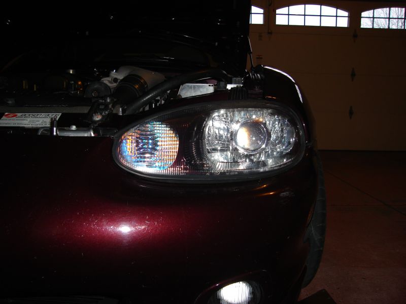 8100650626_77c5276f0f_c.jpg