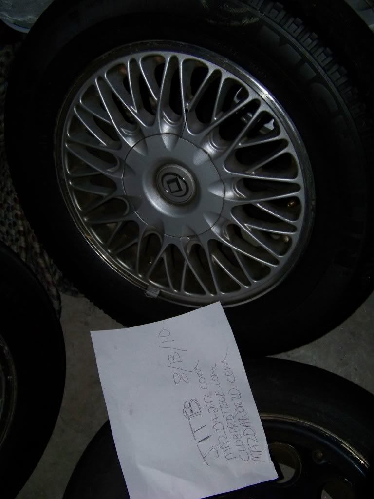 100_3824.jpg