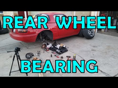 www.youtube.com