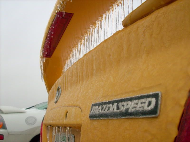 IceStormpics014.jpg